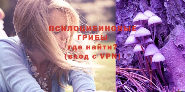 MDMA Premium VHQ Горнозаводск